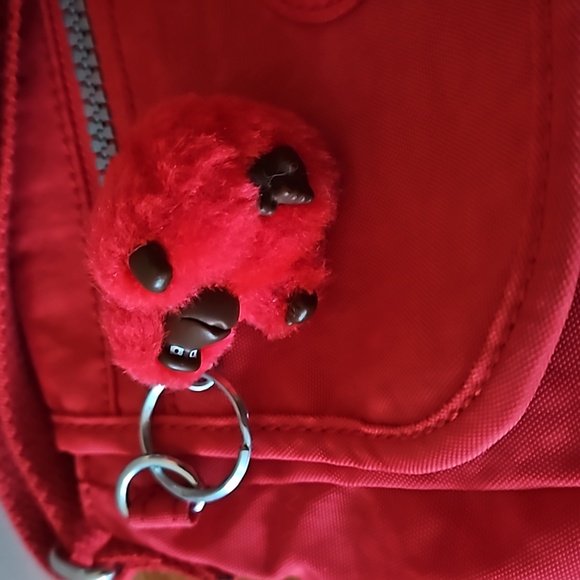 Kipling Crossbody - Picture 2 of 4